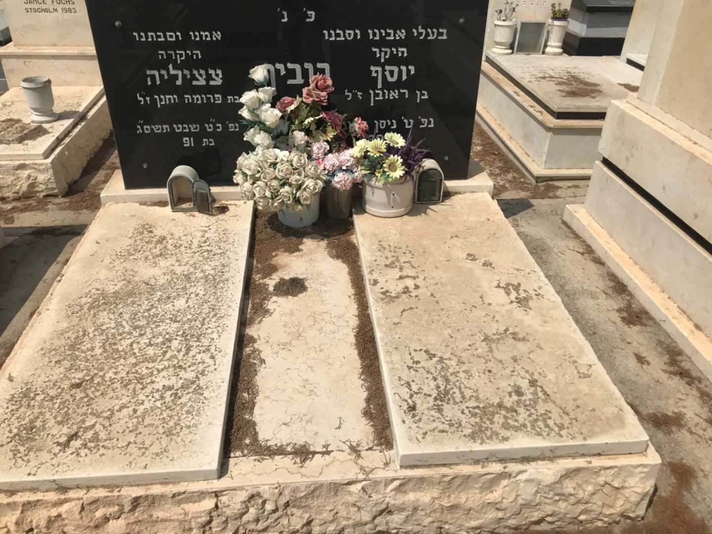 קברו של יוסף רובין. תמונה 1