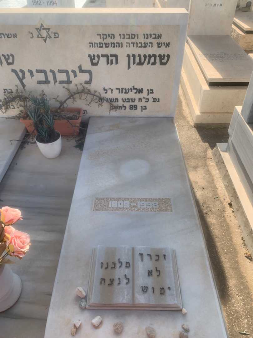 קברו של שמעון הרש ליבוביץ. תמונה 1