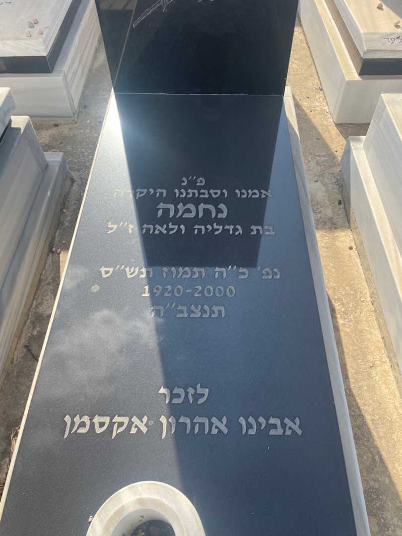 קברו של אהרון אקסמן. תמונה 2