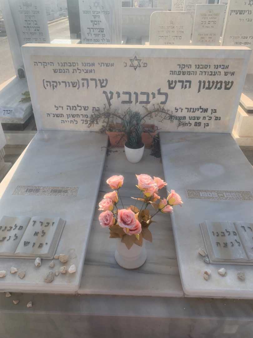 קברו של שמעון הרש ליבוביץ. תמונה 2