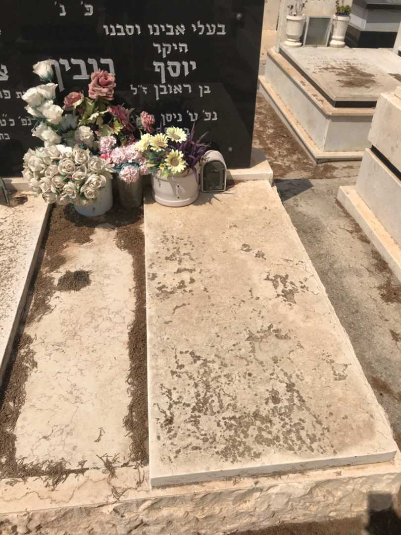 קברו של יוסף רובין. תמונה 2