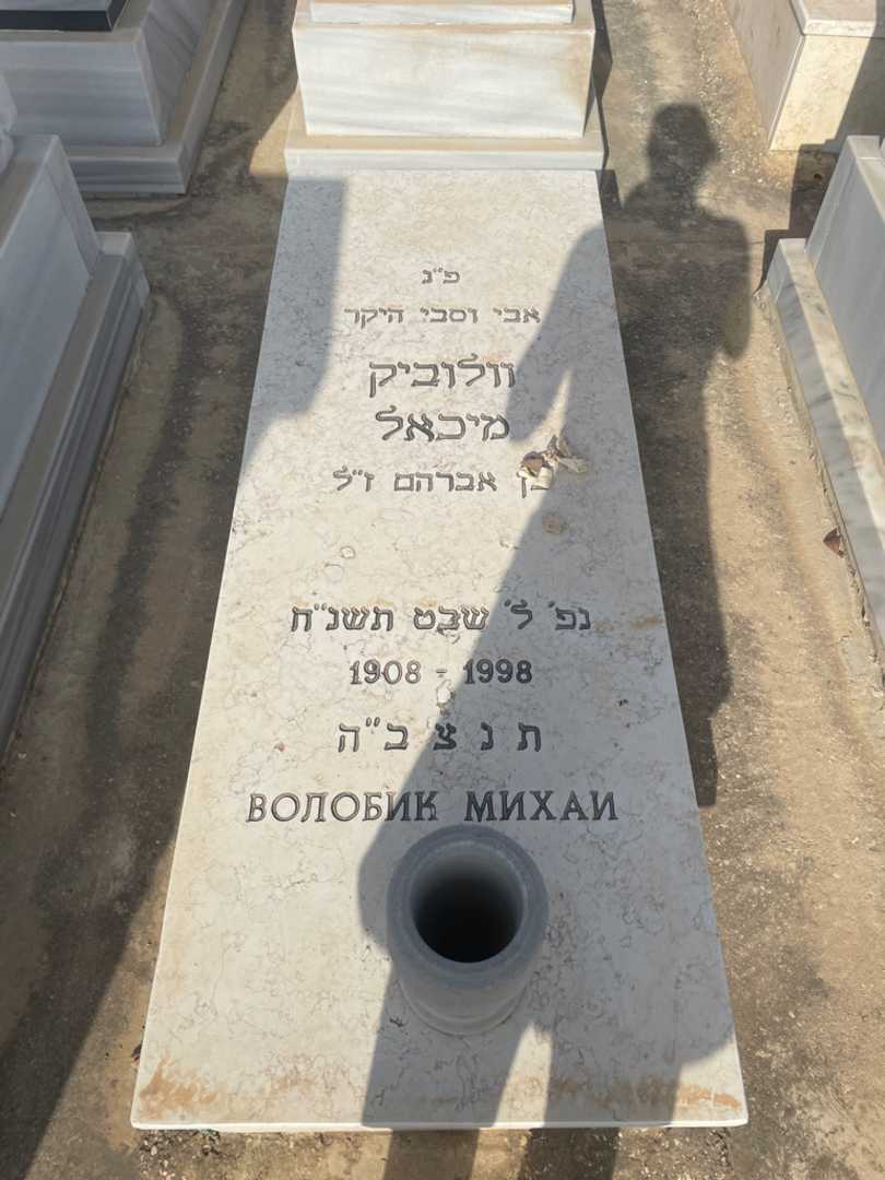 קברו של מיכאל וולוביק