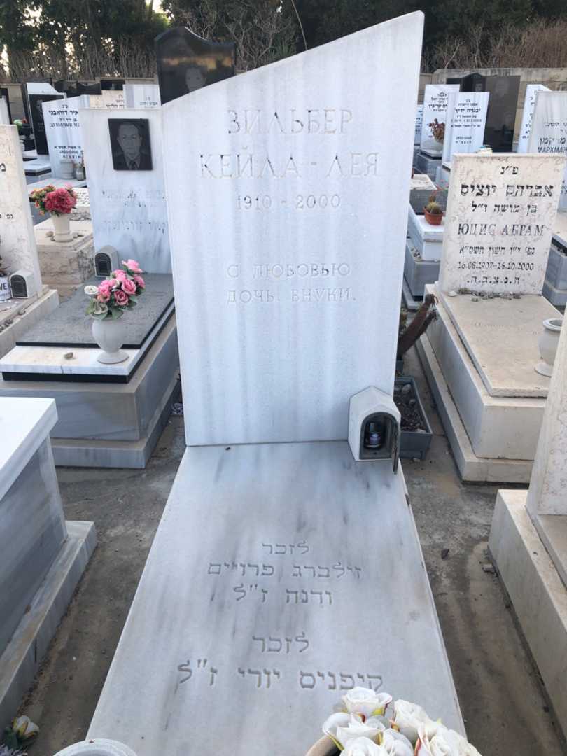 קברו של יורי קיפניס