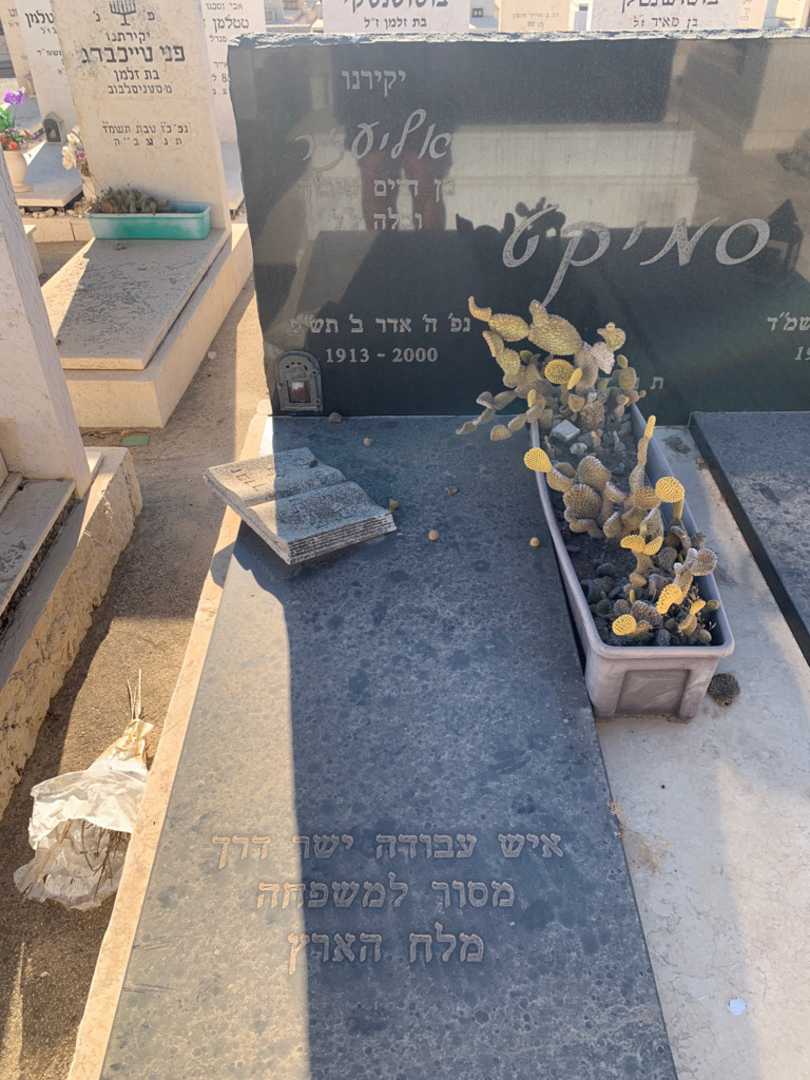 קברו של אליעזר סמיקט. תמונה 2