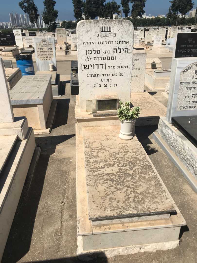 קברו של הילה דרויש