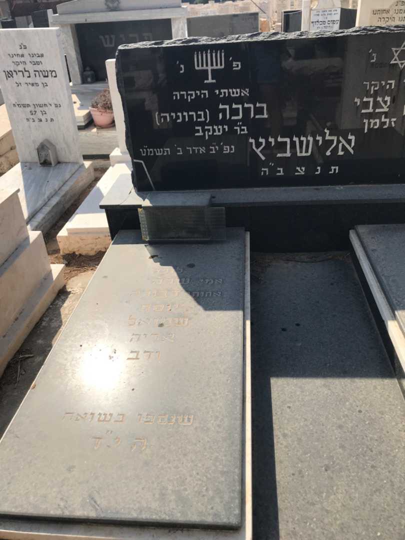 קברו של ברכה "ברוניה" אלישביץ. תמונה 2