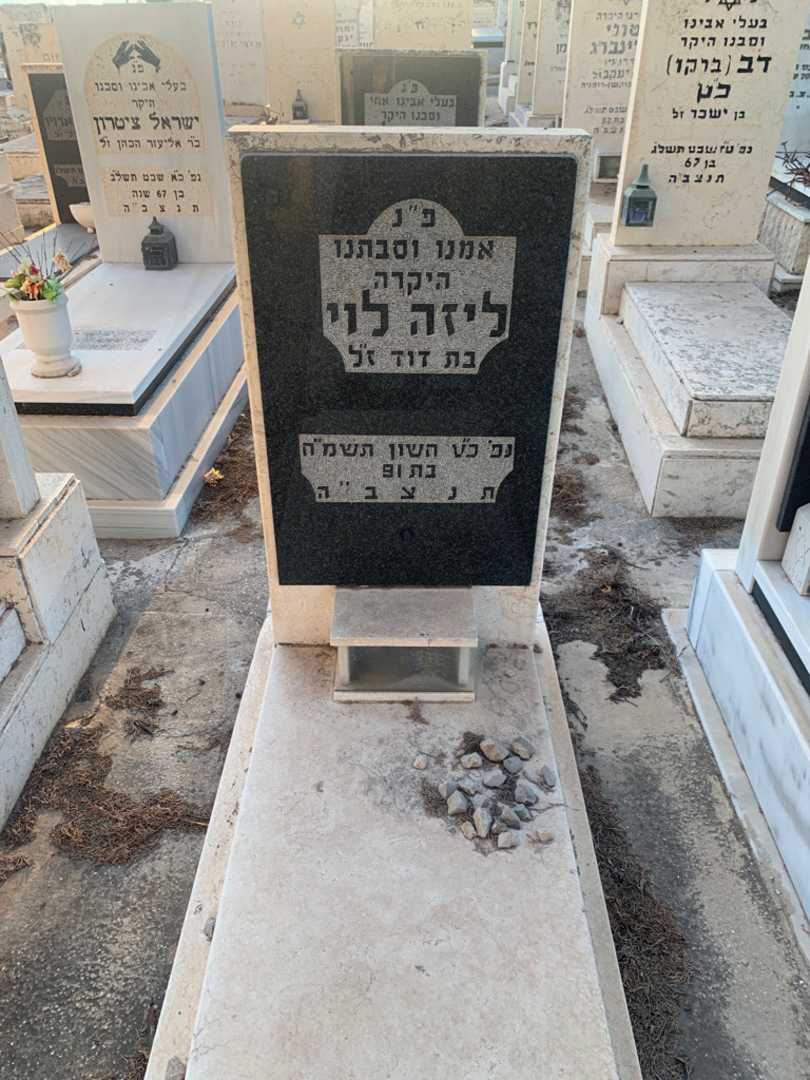 קברו של ליזה לוי