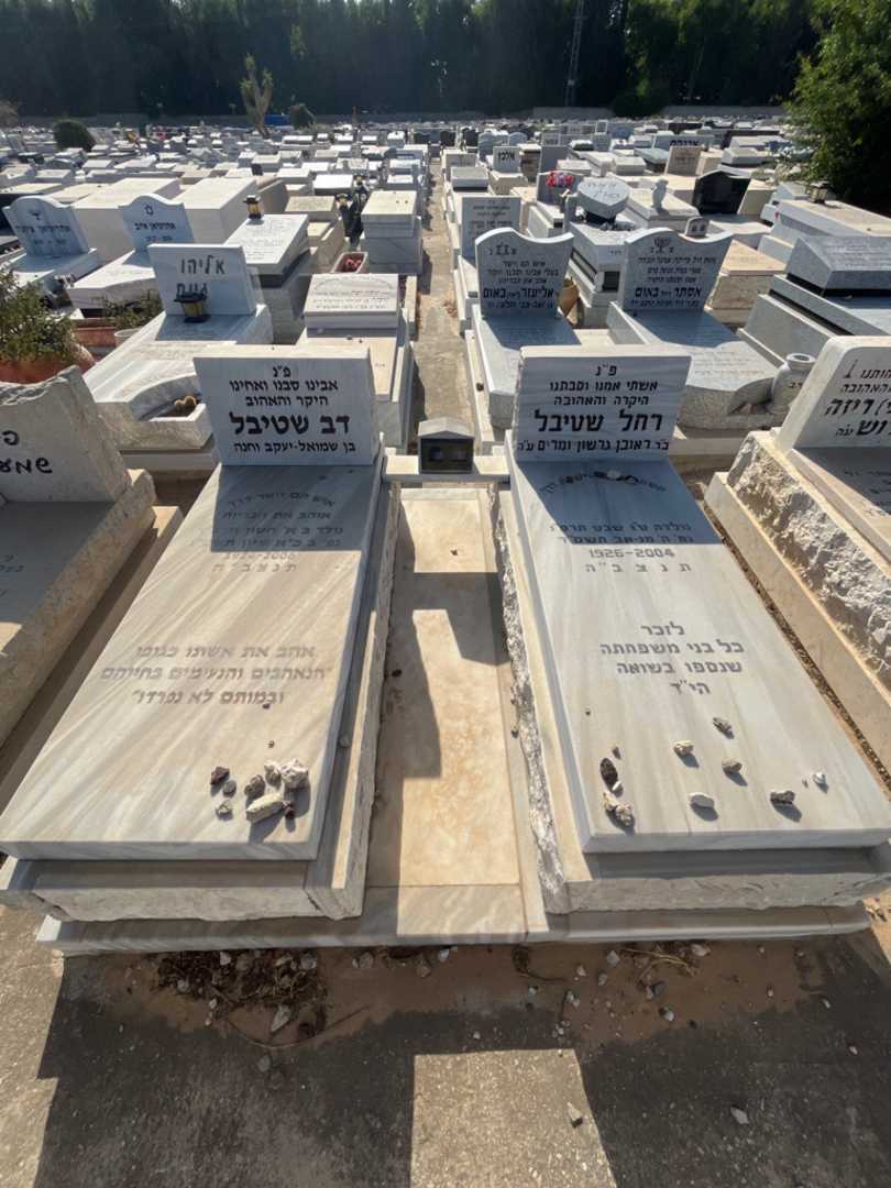 קברו של רחל שטייבל. תמונה 2