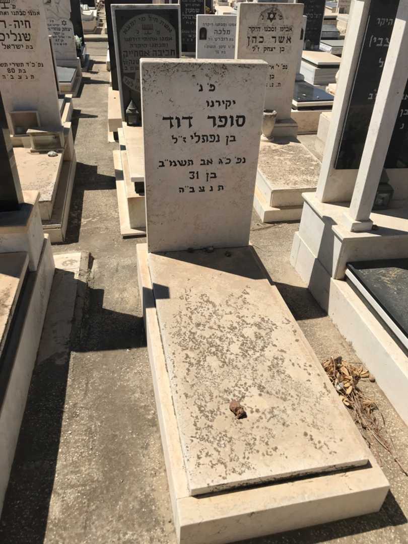 קברו של דוד סופר