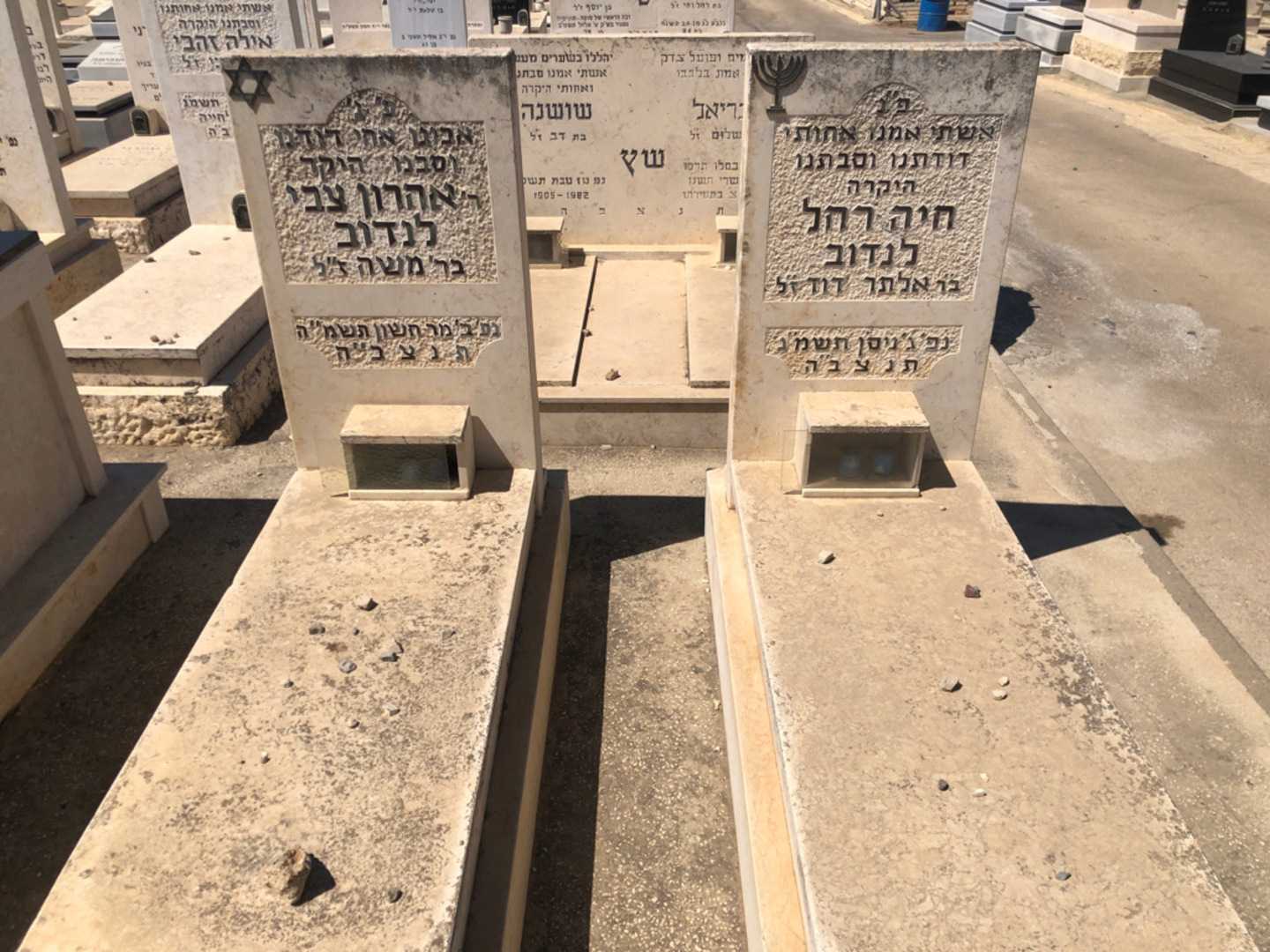 קברו של אהרון צבי לנדוב. תמונה 2