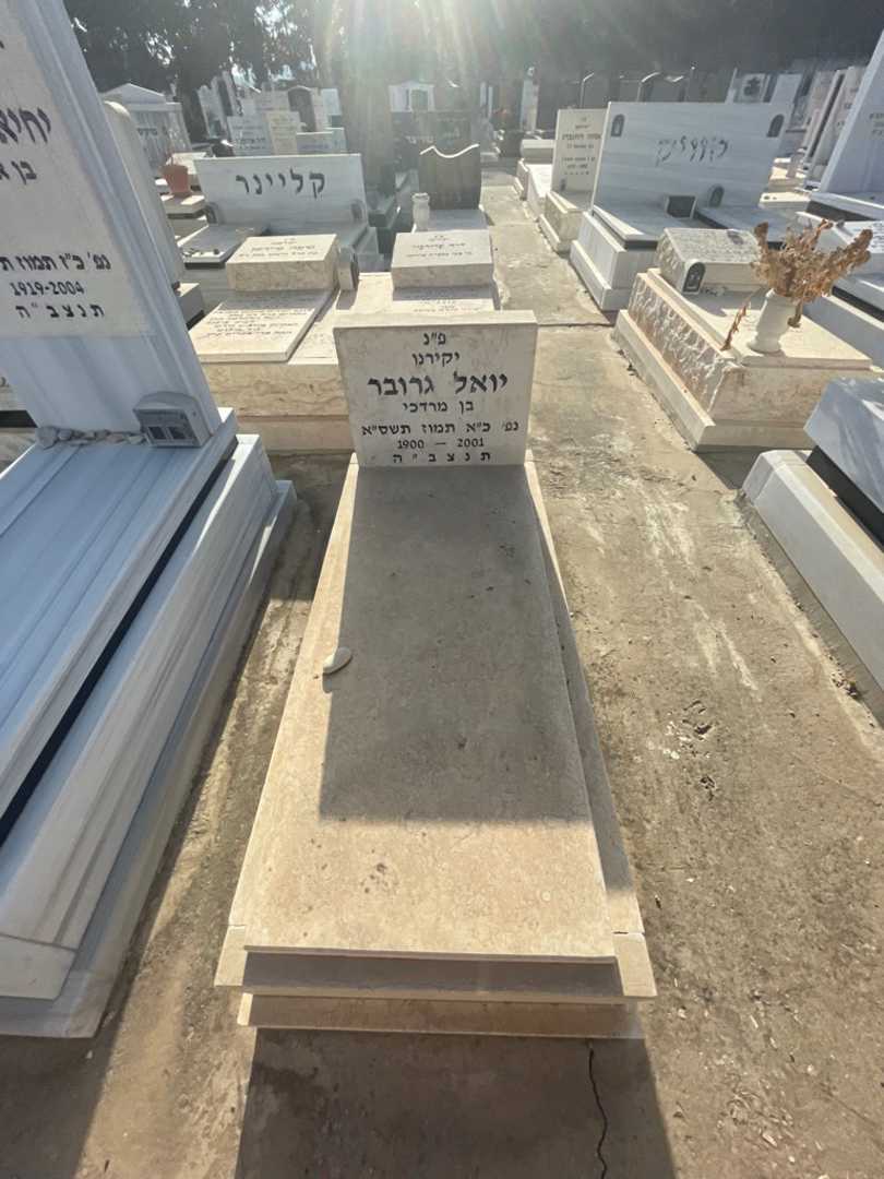 קברו של יואל גרובר