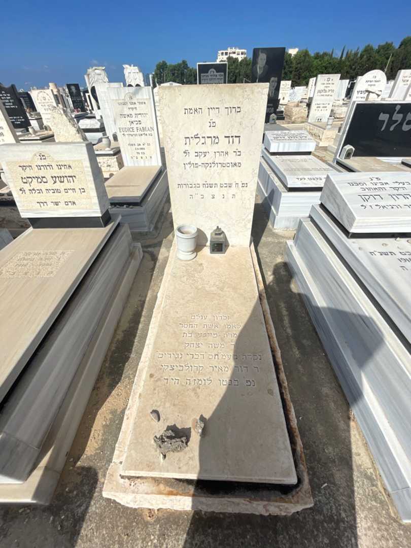 קברו של דוד מאיר קרולביצקי