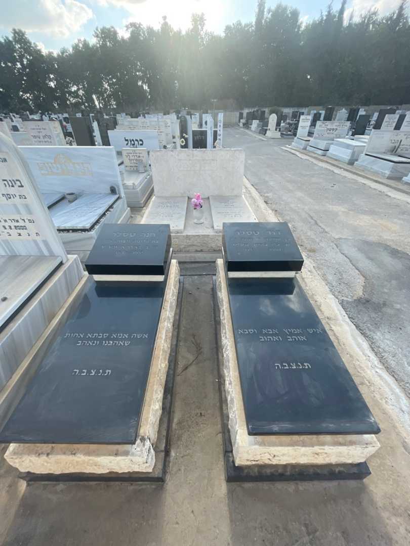 קברו של חנה טסלר. תמונה 1