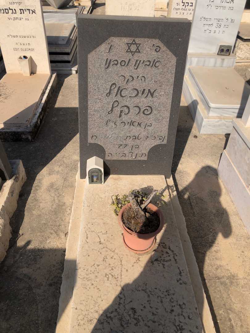 קברו של מיכאל פרקל. תמונה 1