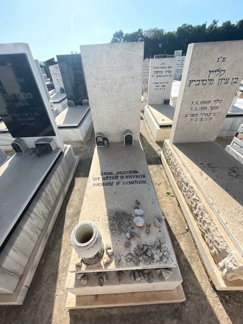קברו של דוד פרלוב