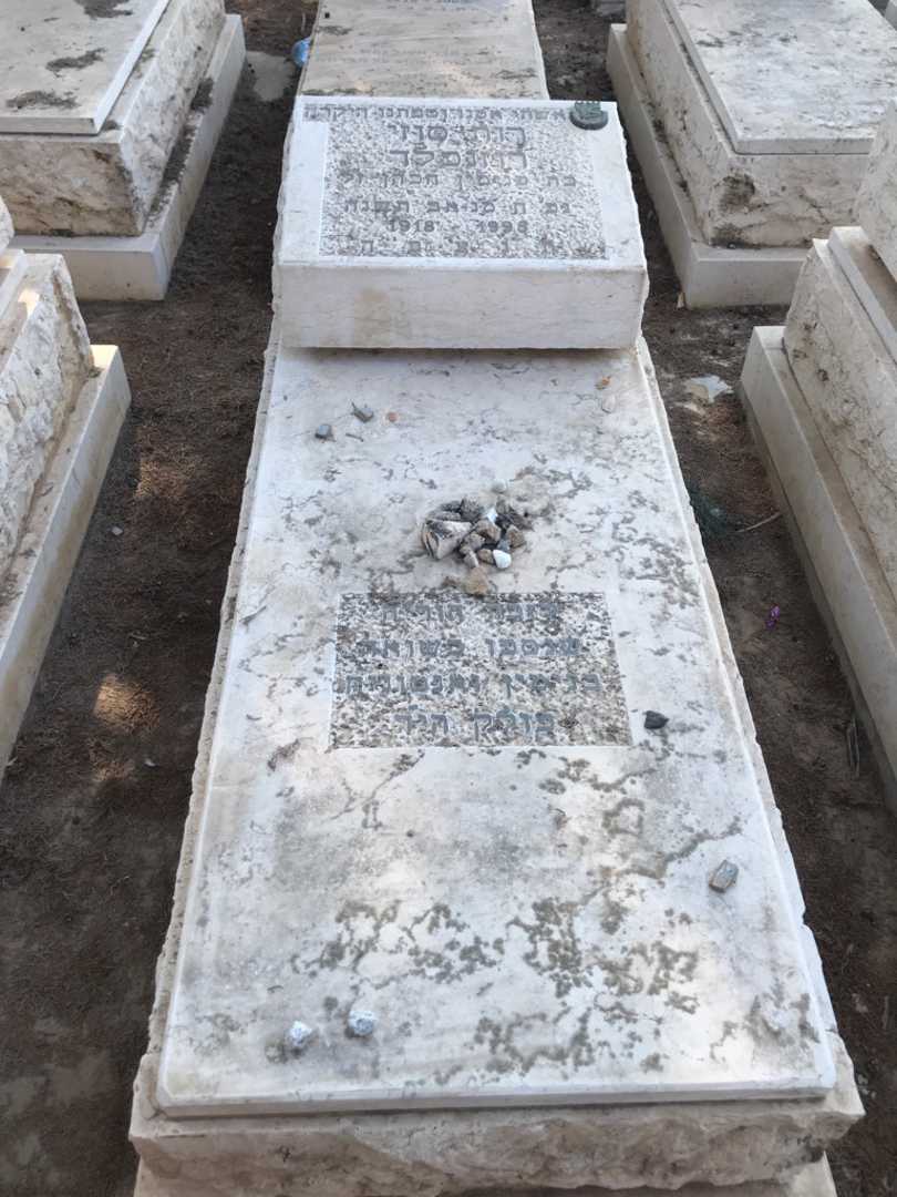 קברו של בנימין פולק. תמונה 1