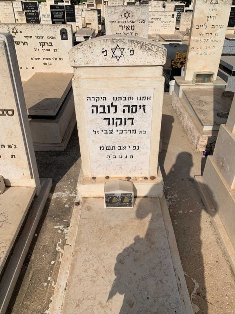 קברו של זיסה לובה דוקור