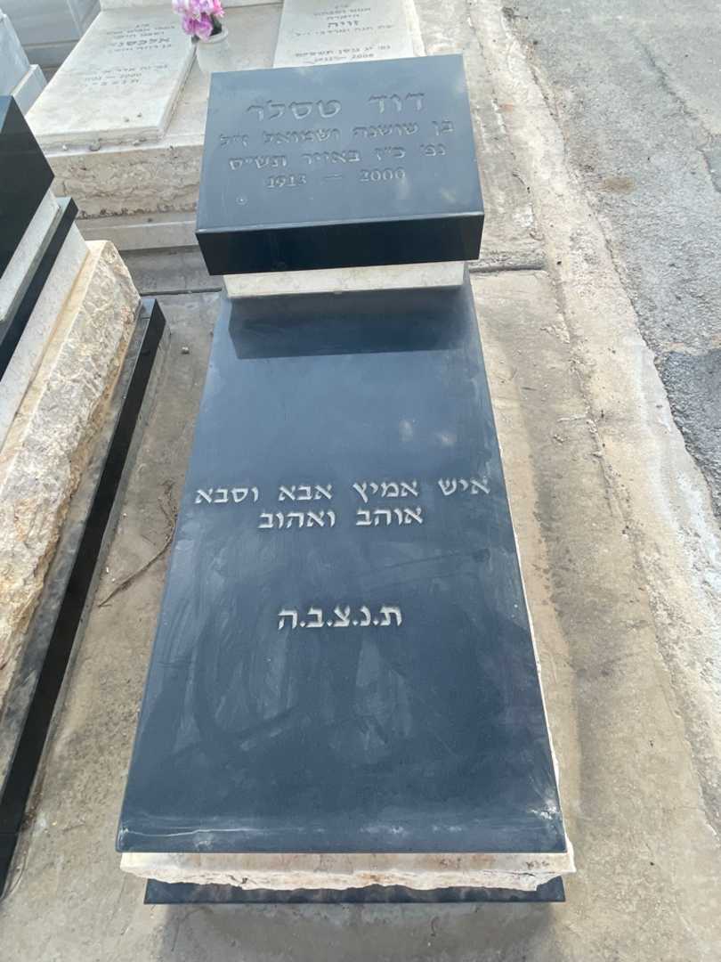 קברו של דוד טסלר. תמונה 2