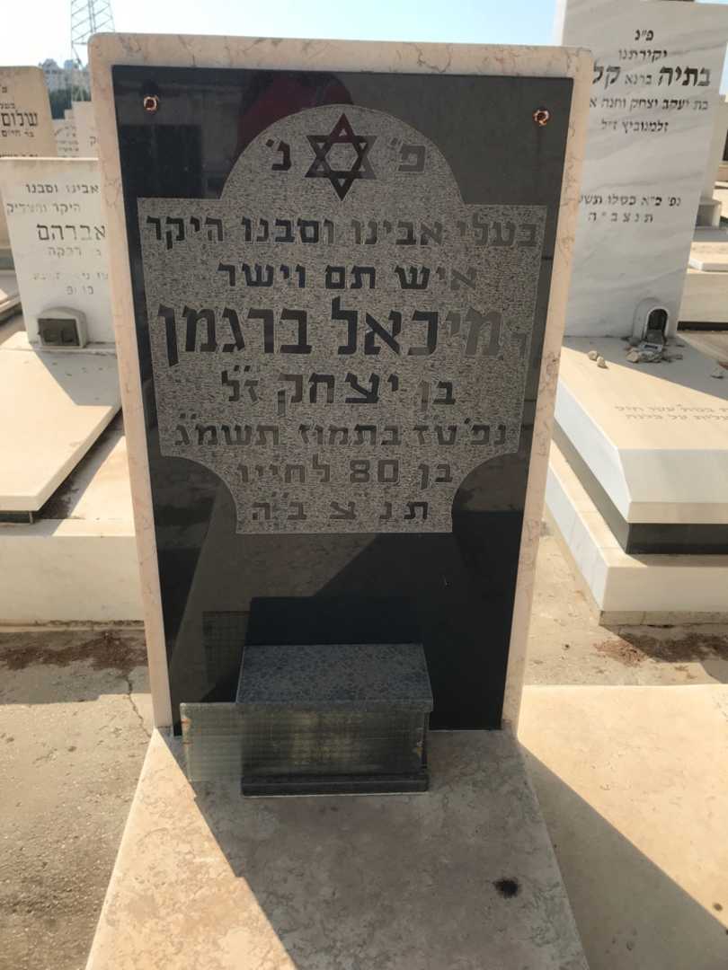 קברו של מיכאל ברגמן. תמונה 3