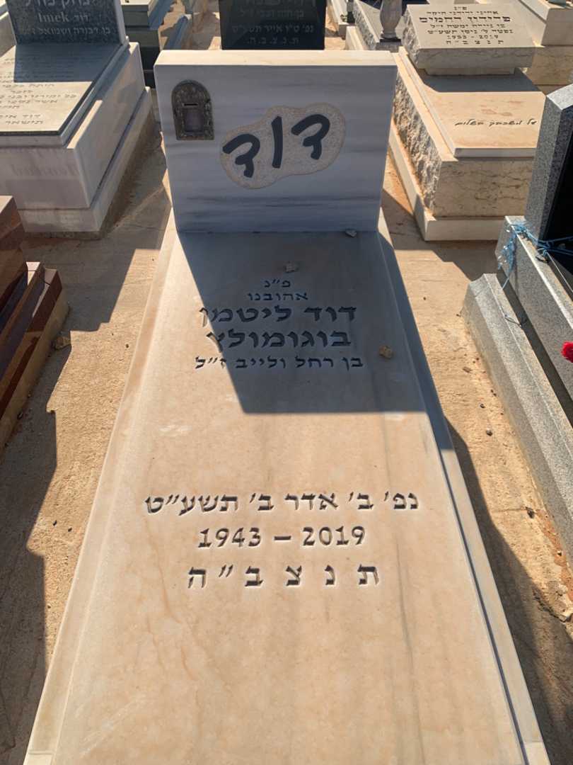 קברו של דוד ליטמן  בוגומולץ