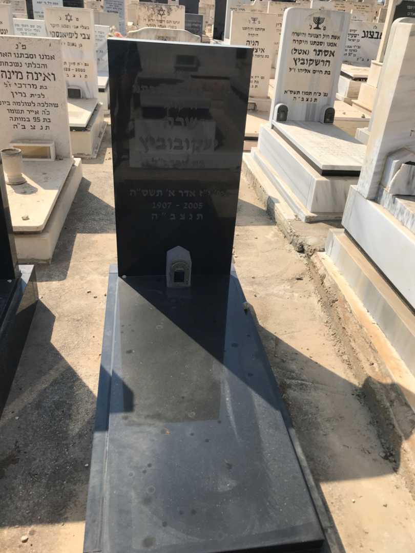 קברו של שרה יעקובוביץ. תמונה 1