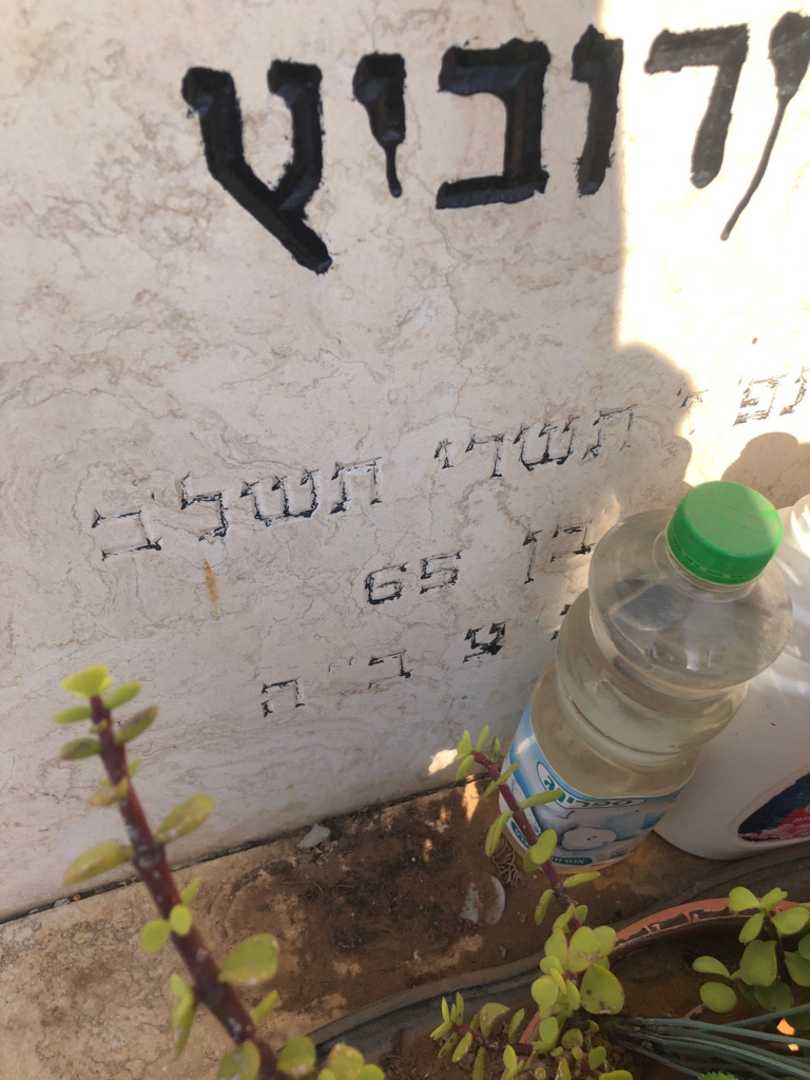 קברו של ישראל הרמן ירוביץ. תמונה 1