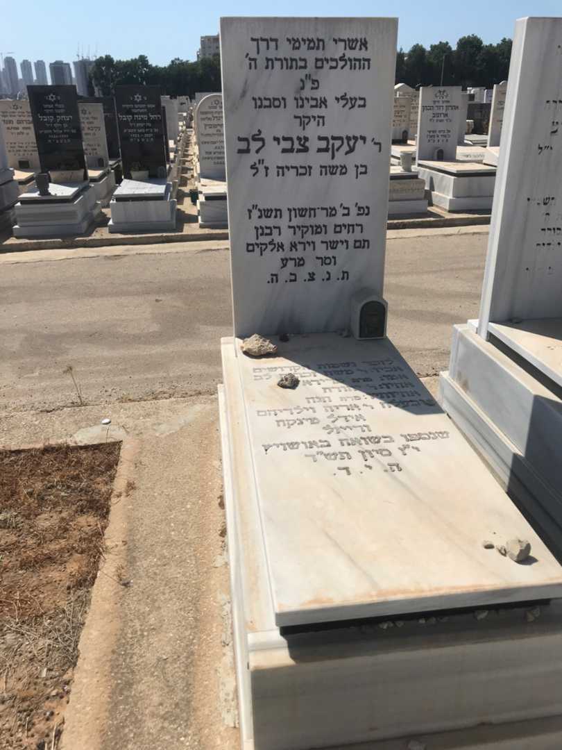 קברו של יעקב צבי לב