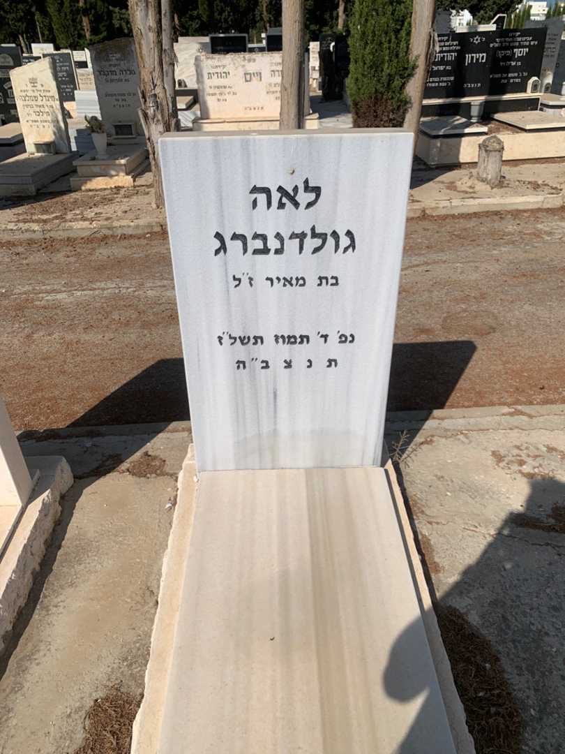 קברו של לאה גולדנברג
