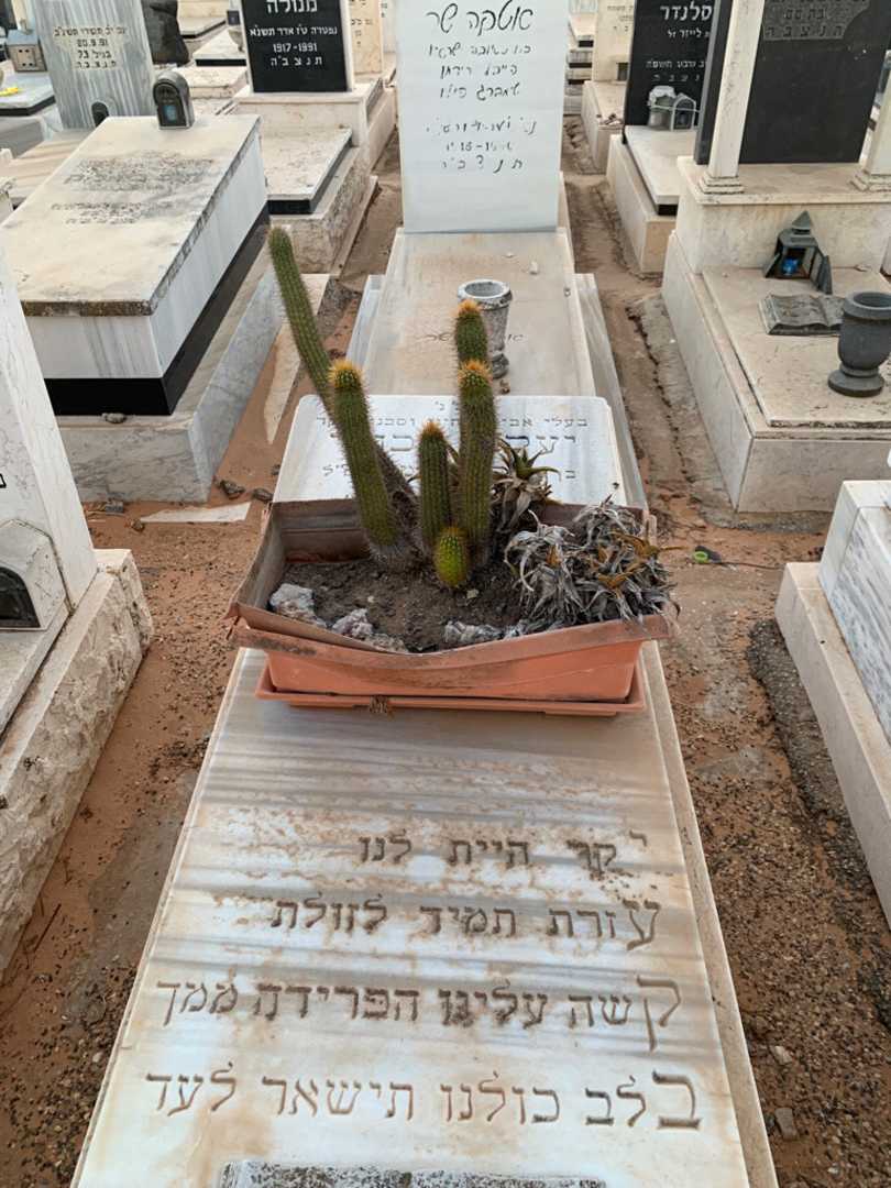 קברו של יעקב בכורי. תמונה 1