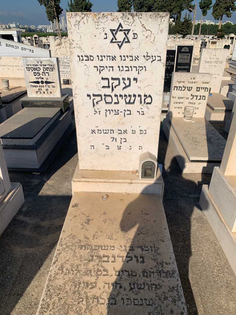 קברו של לובה גולדנברג