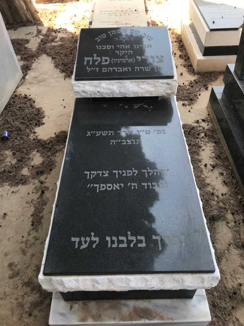 קברו של צורי "ארמיניו" פלח