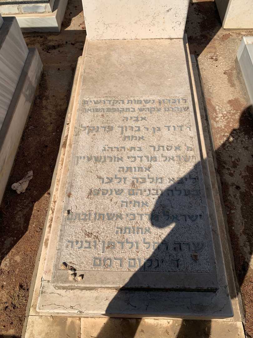קברו של ליבא מלכה זלצר. תמונה 2