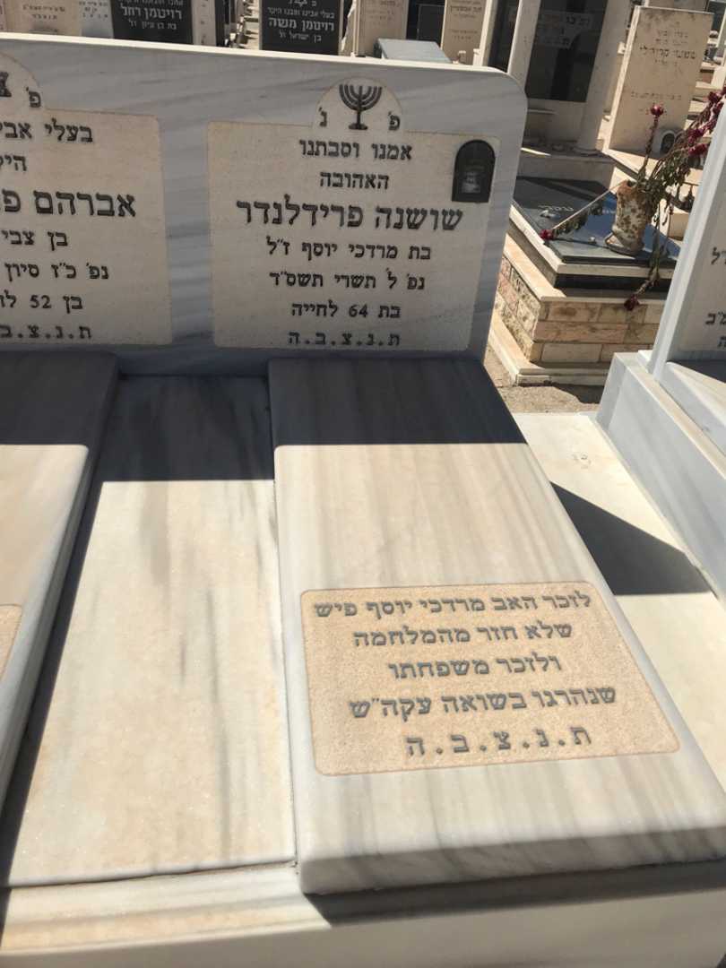 קברו של מרדכי יוסף פיש. תמונה 2