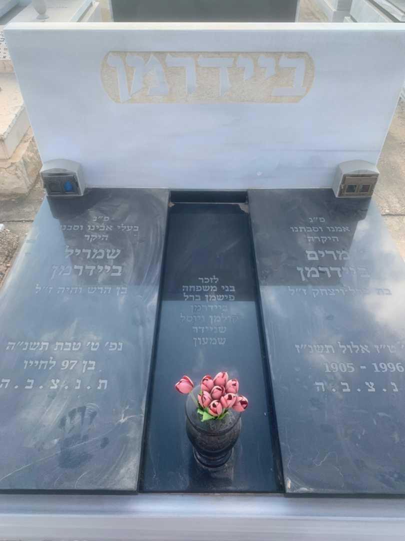 קברו של שמריל ביידרמן. תמונה 2