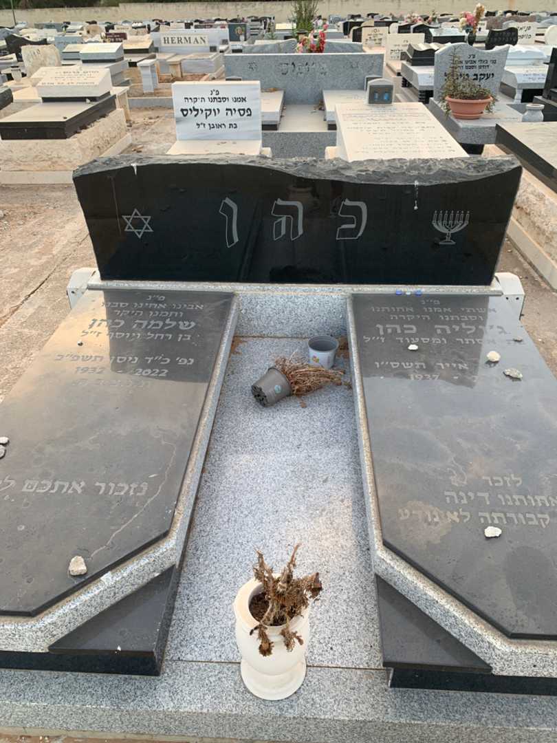 קברו של ג'וליה כהן. תמונה 1