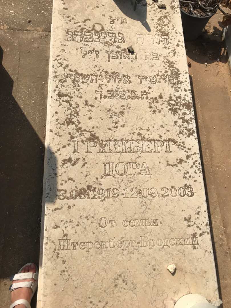 קברו של דורה גרינברג. תמונה 2