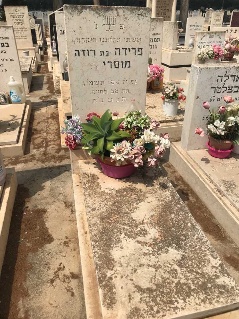 קברו של פרידה מוסרי