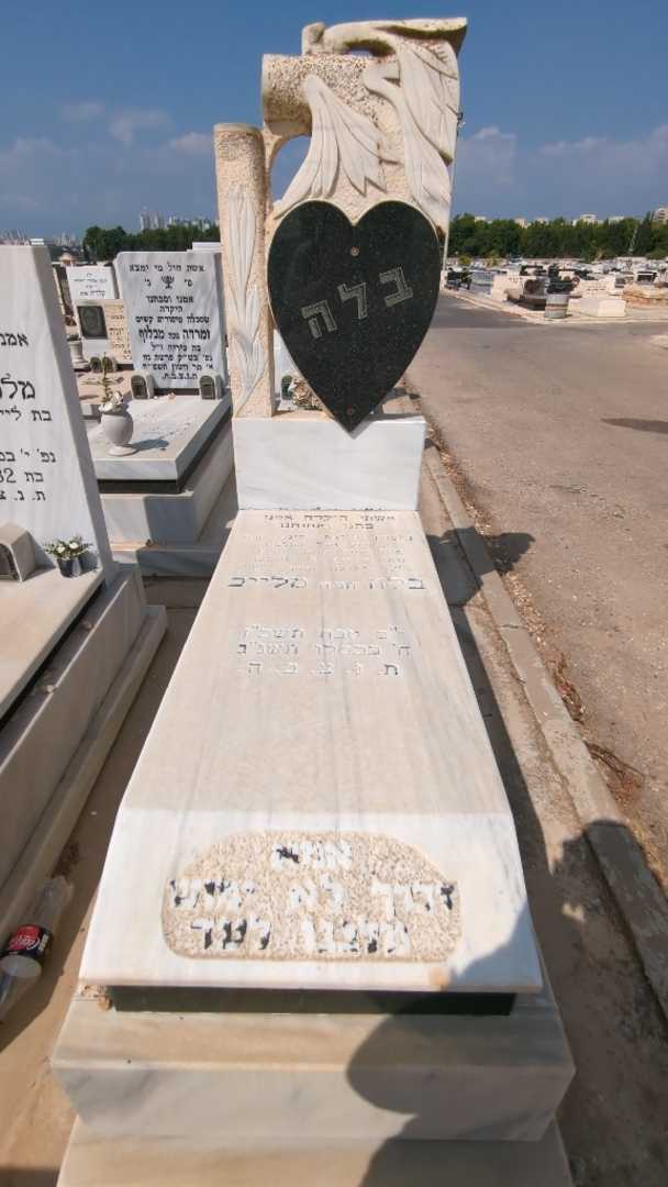 קברו של בלה "חניה" מלייב