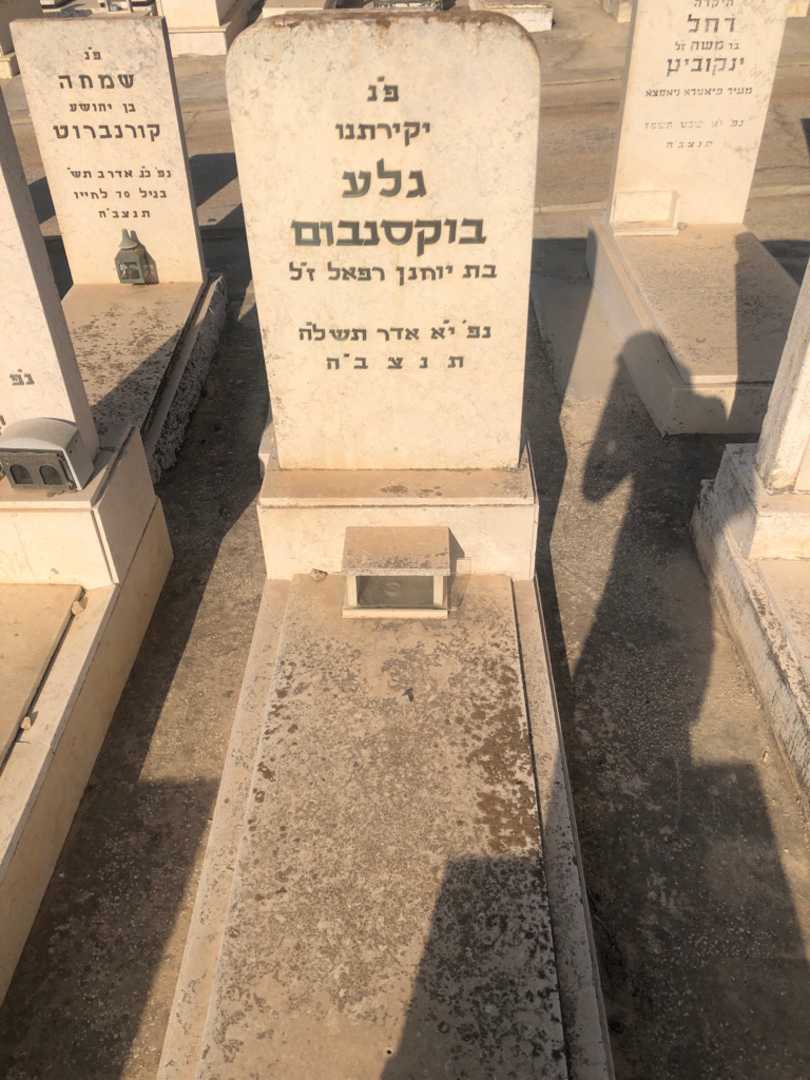 קברו של גלע בוקסנבום. תמונה 1