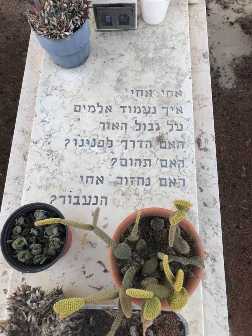 קברו של שחר שריקי. תמונה 2