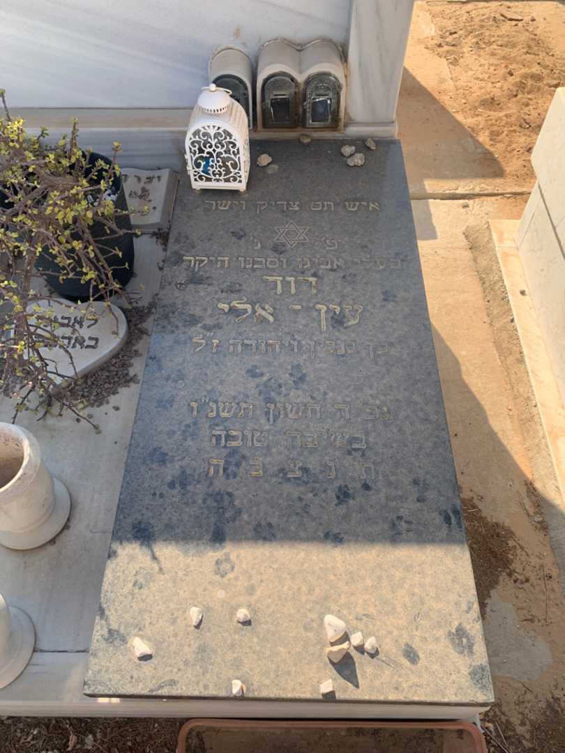 קברו של דוד עין - אלי. תמונה 2