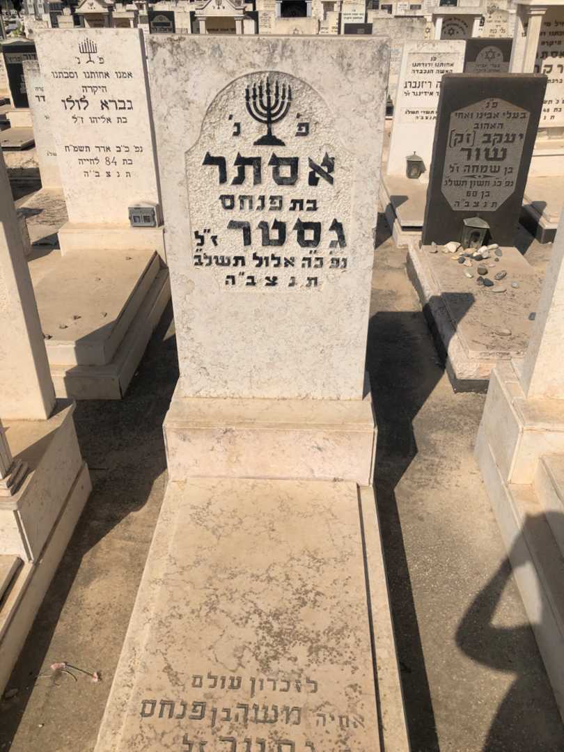 קברו של אסתר גסטר