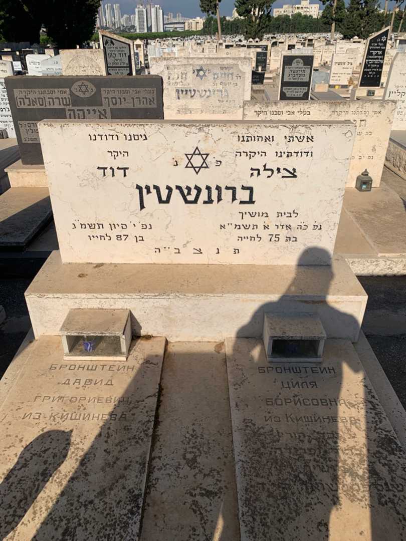 קברו של פרידה מושיך. תמונה 1