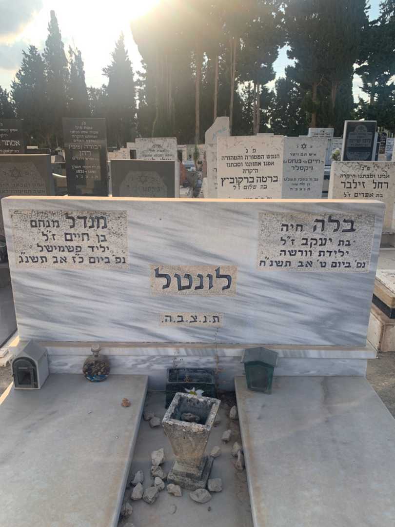 קברו של בלה "חיה" לונטל. תמונה 1