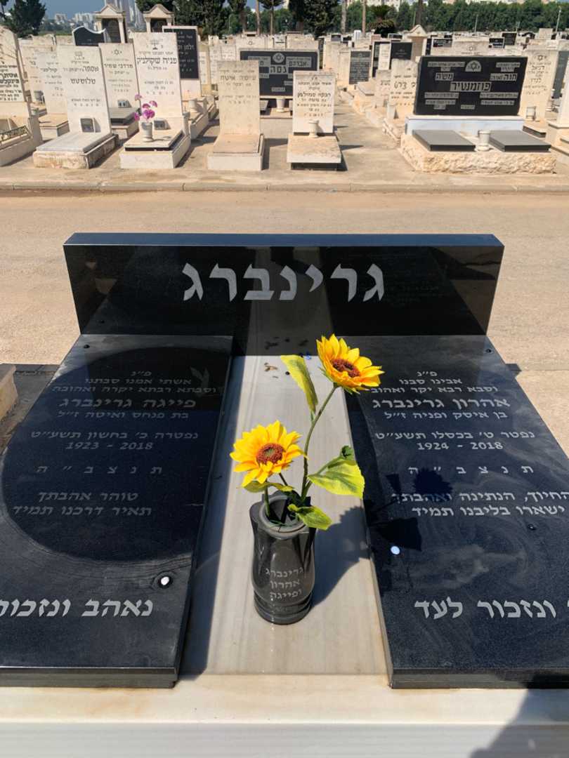 קברו של פייגה גרינברג. תמונה 1