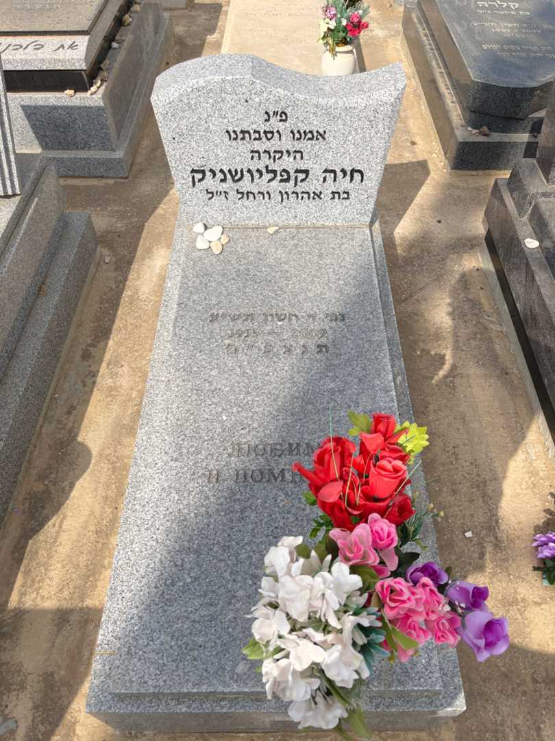 קברו של חיה קפליושניק