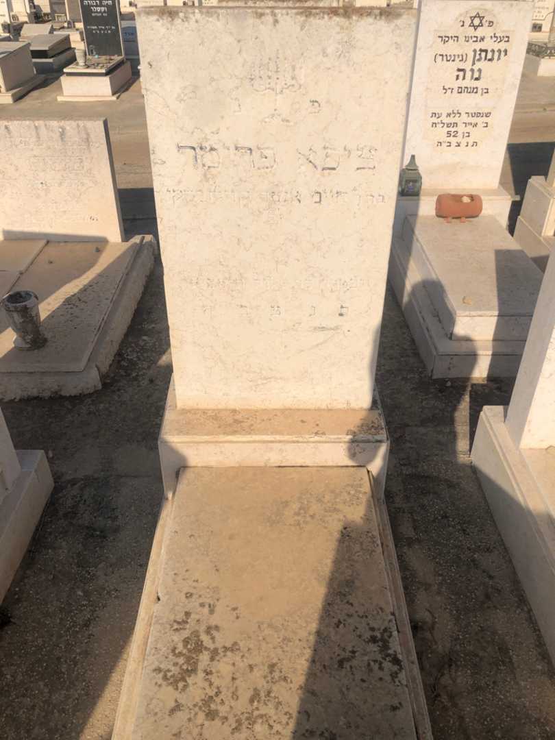 קברו של ציפא פרימר. תמונה 1