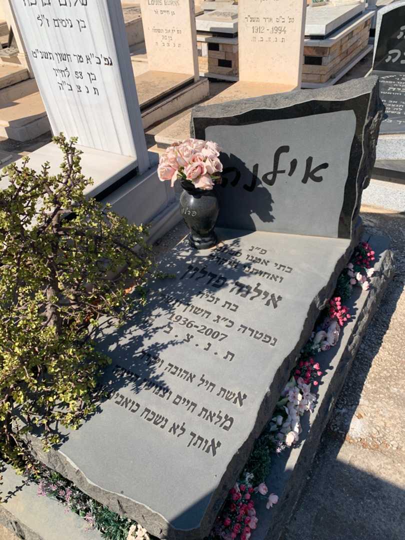 קברו של אילנה פדלון. תמונה 2