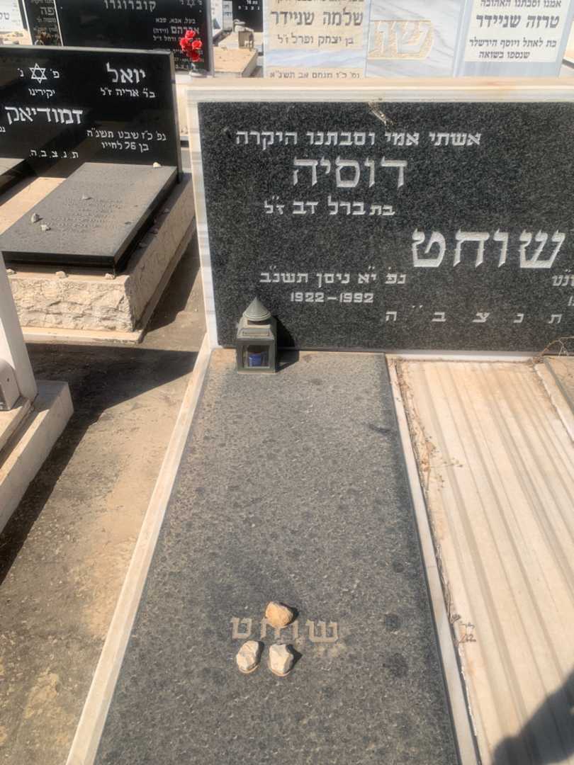 קברו של דוסיה שוחט. תמונה 2