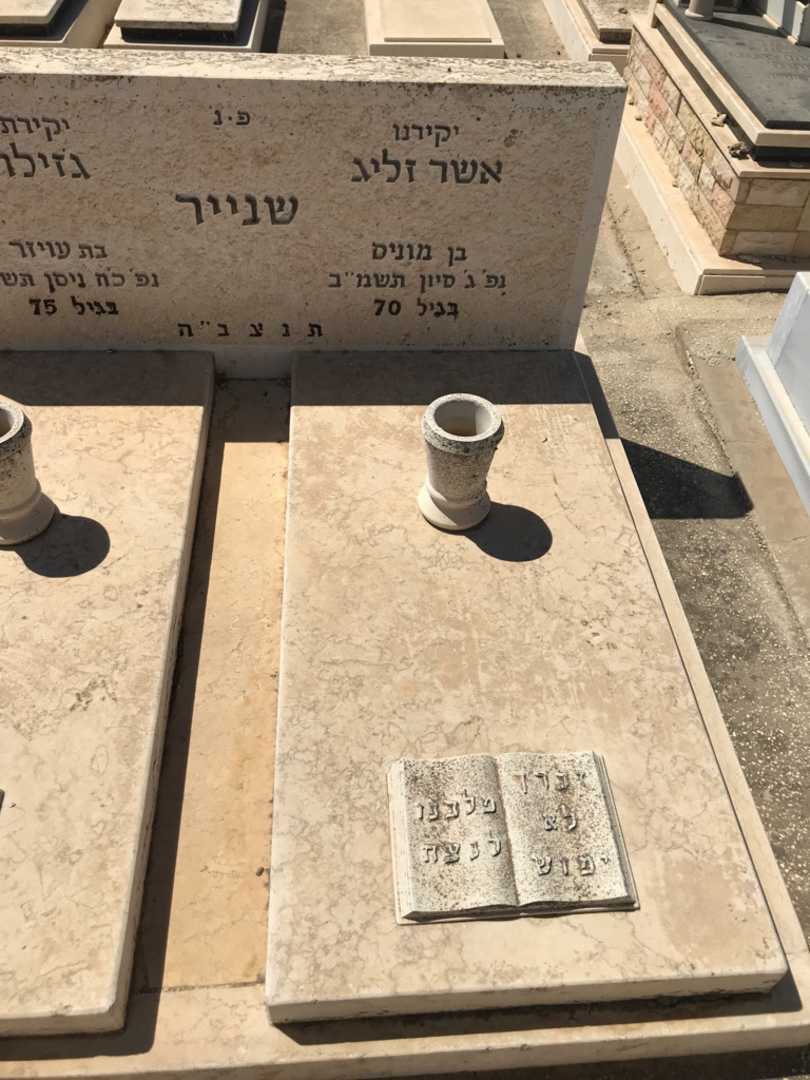 קברו של אשר זליג שנייר. תמונה 2